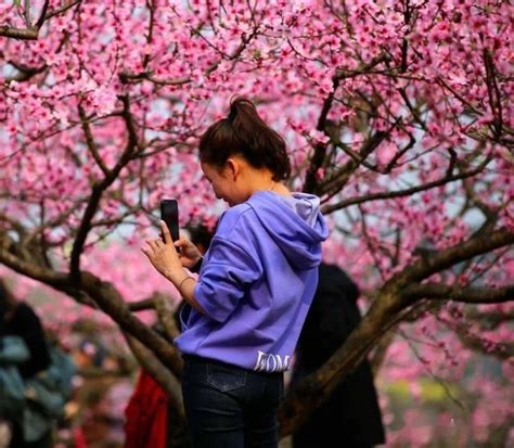 桃花來的徵兆|即將走「桃花運」的五種徵兆，有你嗎？